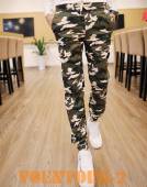 ����  Woodland